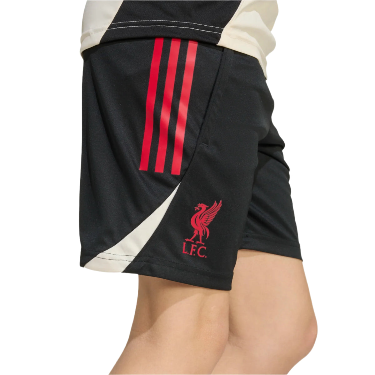 Adidas Liverpool FC Youth Shorts Training 25/26 Home