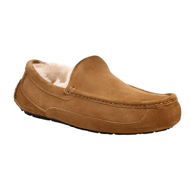 Ugg Mens Slipper Ascot Chestnut
