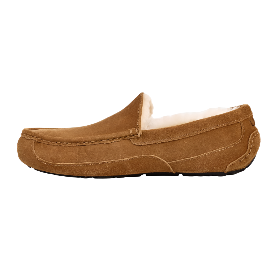 Ugg Mens Slipper Ascot Chestnut