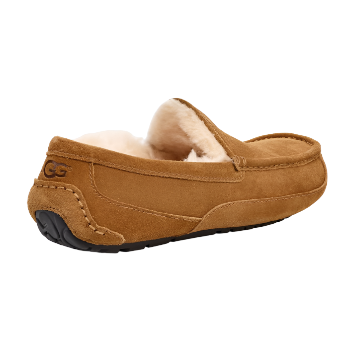 Ugg Mens Slipper Ascot Chestnut