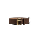 Tiffosi Womens Belt Aretha After Dark