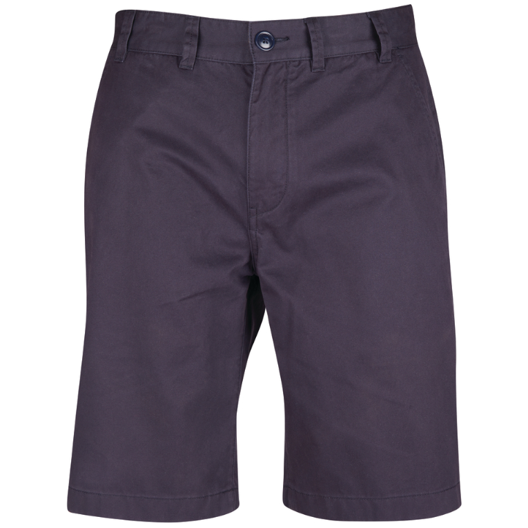 Barbour 2024 chinos purple