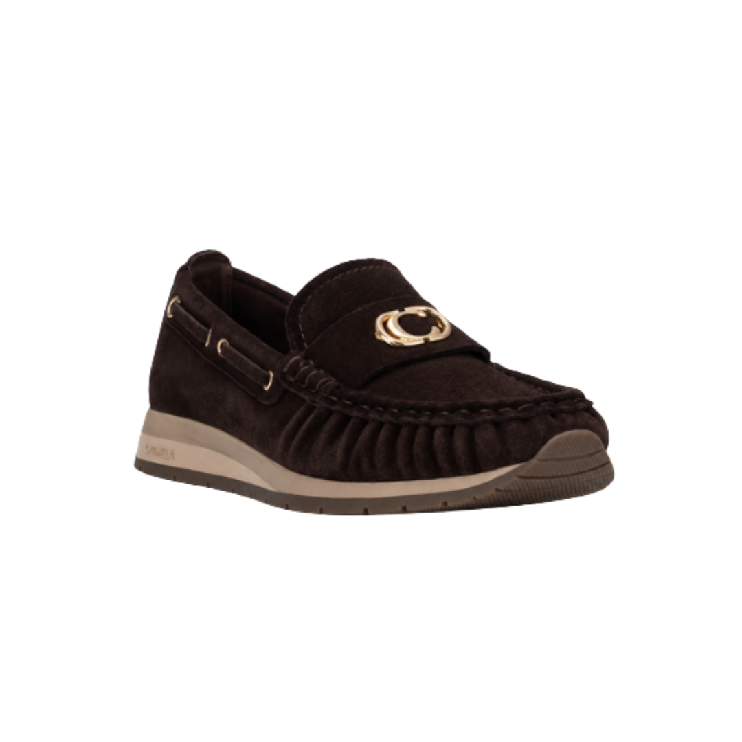 Carmela Womens Shoe 164236 Marron