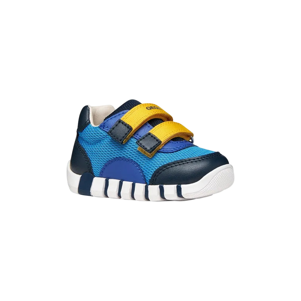 Geox Boys Iupidoo Shoe Azure/Navy