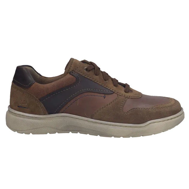 JOS Baxter 01 32501 Castagne multi