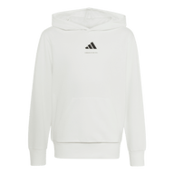Adidas Kids Graphic Hoodie KX2476 White