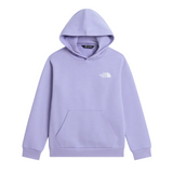 The North Face Girls Hoodie Evolution Box NSE Pale Plum