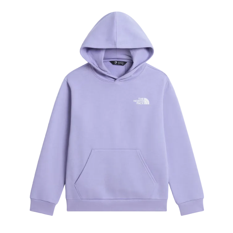 The North Face Girls Hoodie Evolution Box NSE Pale Plum