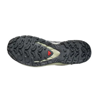 Salomon Womens Trainer XA Pro 3D V9 GTX Nine Iron/Oxford Tan/Alfalfa