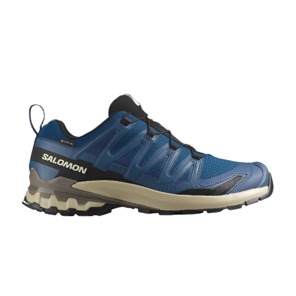 Salomon Mens Trainer XA PRO 3D V9 GTX Poseidon/White Pepper/Falcon