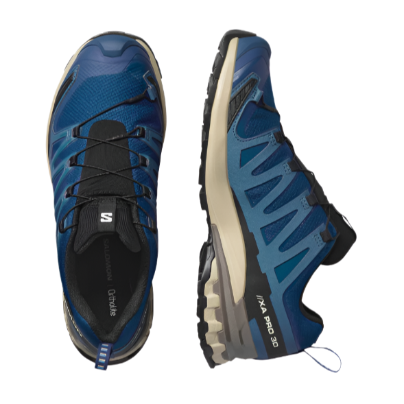 Salomon Mens Trainer XA PRO 3D V9 GTX Poseidon/White Pepper/Falcon