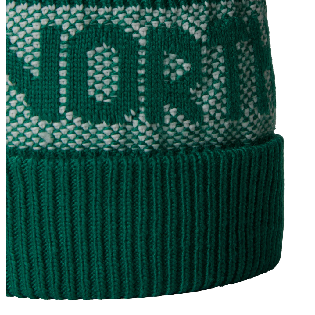 The North Face Unisex Beanie Retro Cabin Evergreen/White
