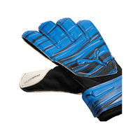 Puma Goalkeeper Gloves 42090 Blue