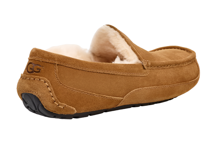 Ugg Mens Slipper Ascot Chestnut Donaghys