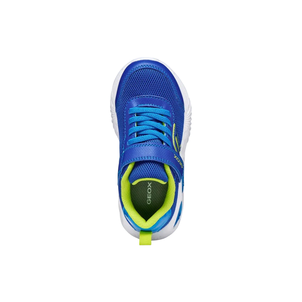 Geox Boys J Assister Trainer Royal/ Lime