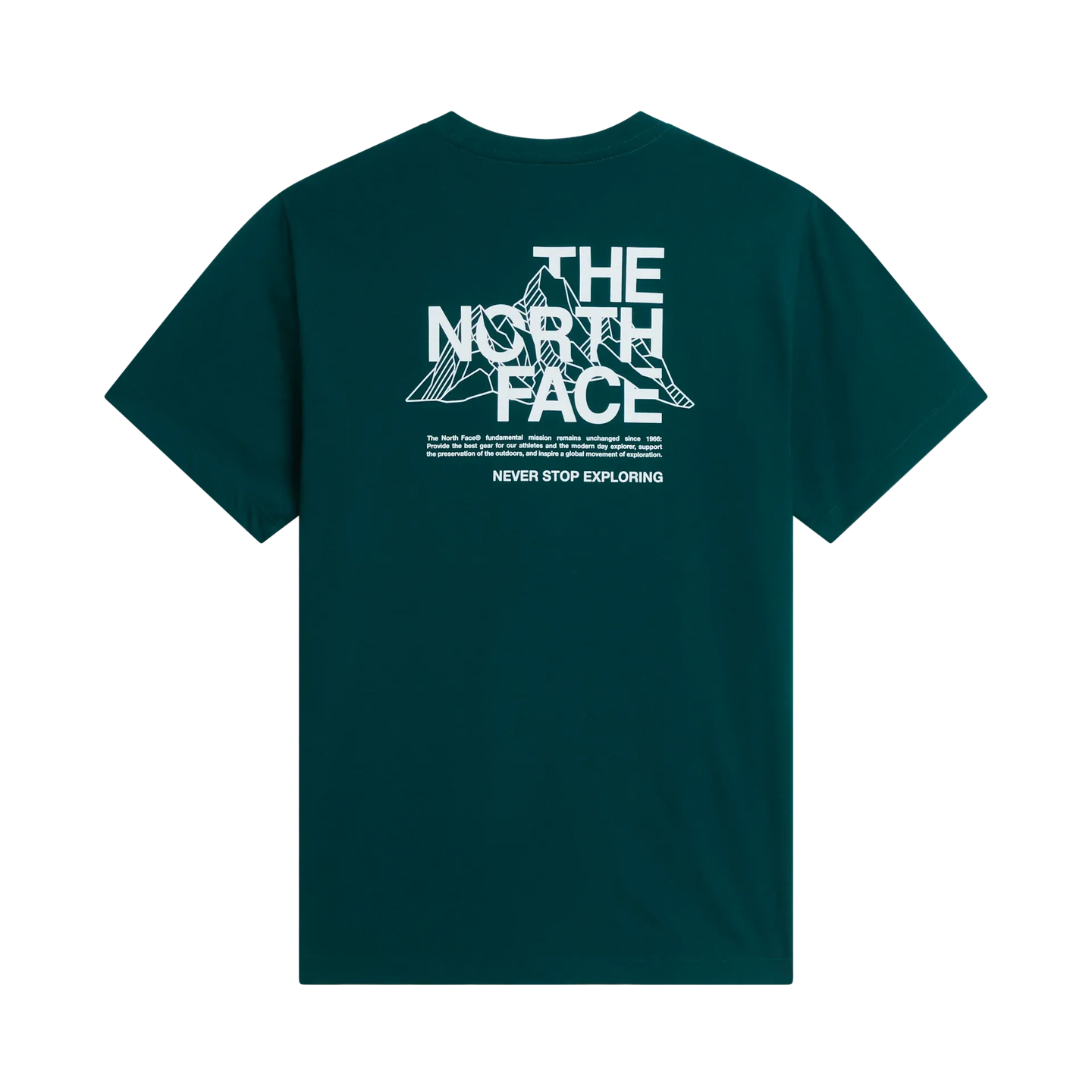 The North Face men's teal t-shirt